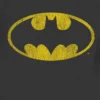 Camiseta con diseño de Batman de DC Comics para niños pequeños