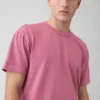 Camiseta corta de peso pesado para adultos