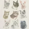 Camiseta infantil con diseño de caras de gatos