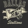 Camiseta infantil con diseño de los Dallas Stallions