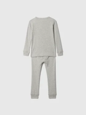 Conjunto de pijama de algodón orgánico cepillado para bebés y niños