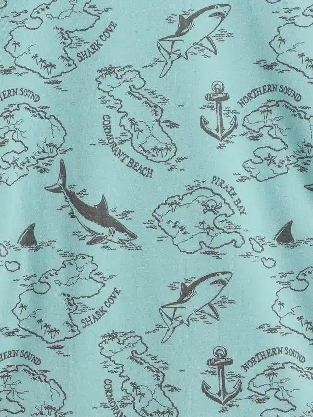 Conjunto de pijama para niños de algodón orgánico cepillado con mapa pirata en forma de pantalones cortos