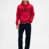 Sudadera con capucha para adultos Vintagesoft Arch Logo