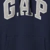 Sudadera con capucha para adultos Vintagesoft Arch Logo