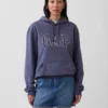 Sudadera con capucha para adultos Vintagesoft Arch Logo