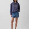 Sudadera con capucha para adultos Vintagesoft Arch Logo