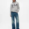 Sudadera con capucha para adultos Vintagesoft Arch Logo