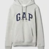 Sudadera con capucha para adultos Vintagesoft Arch Logo