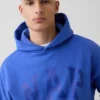 Sudadera con capucha para adultos Vintagesoft con logo Nap